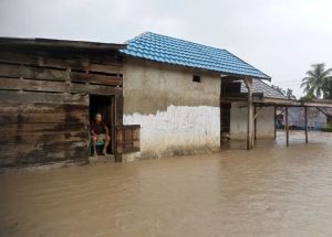 Banjir Hantam Desa-desa, Rumah Terendam, Sawah Hancur. (Poto: BPBD Empat Lawang/Kabarempatlawang.com)